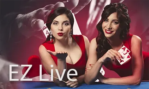 Live Chat Support