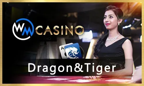 Play'n GO Slots
